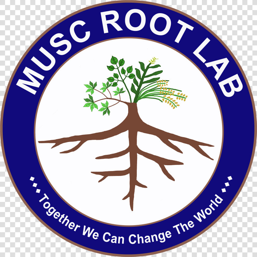 Root Lab Thailand   Emblem  HD Png DownloadTransparent PNG