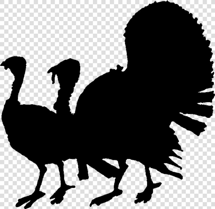 Bird flightless   Turkey Silhouette  HD Png DownloadTransparent PNG