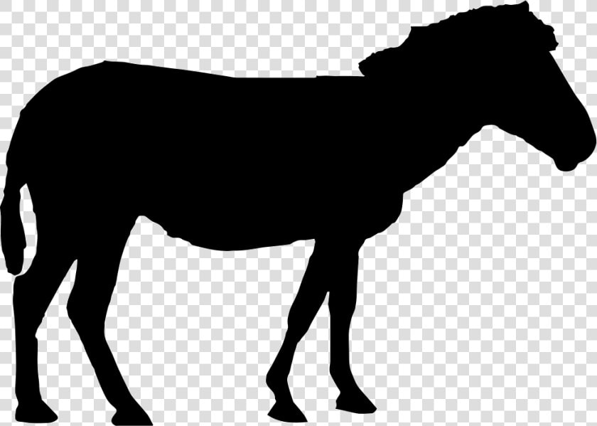 Horse Silhouette Comments   Horse Standing Silhouette  HD Png DownloadTransparent PNG