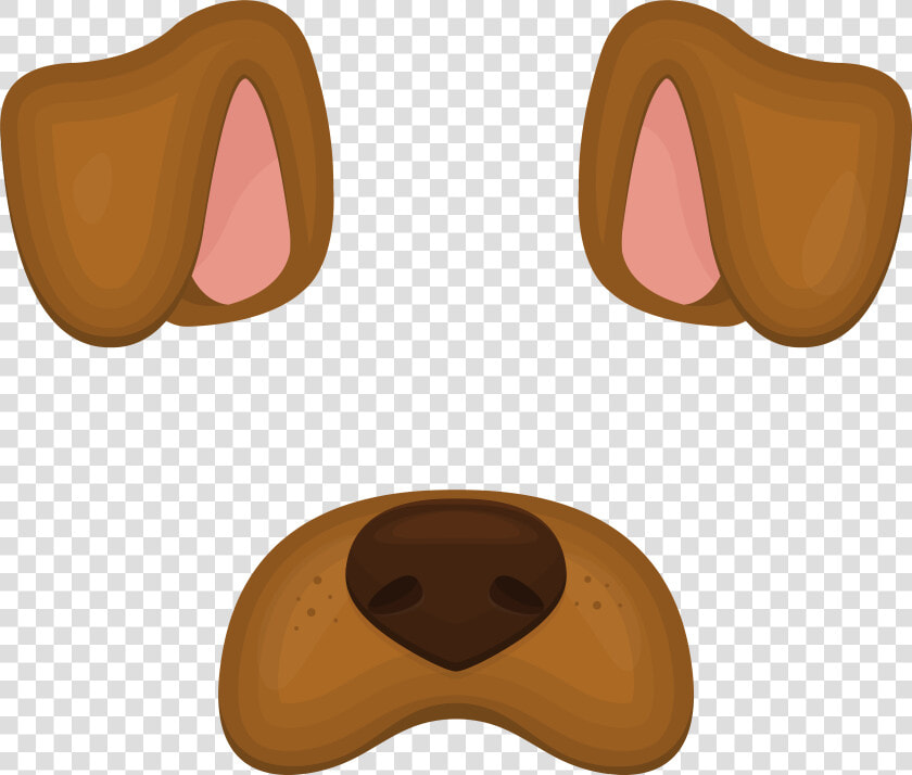 Border Collie Papillon Dog Rottweiler Chihuahua Dogo  HD Png DownloadTransparent PNG