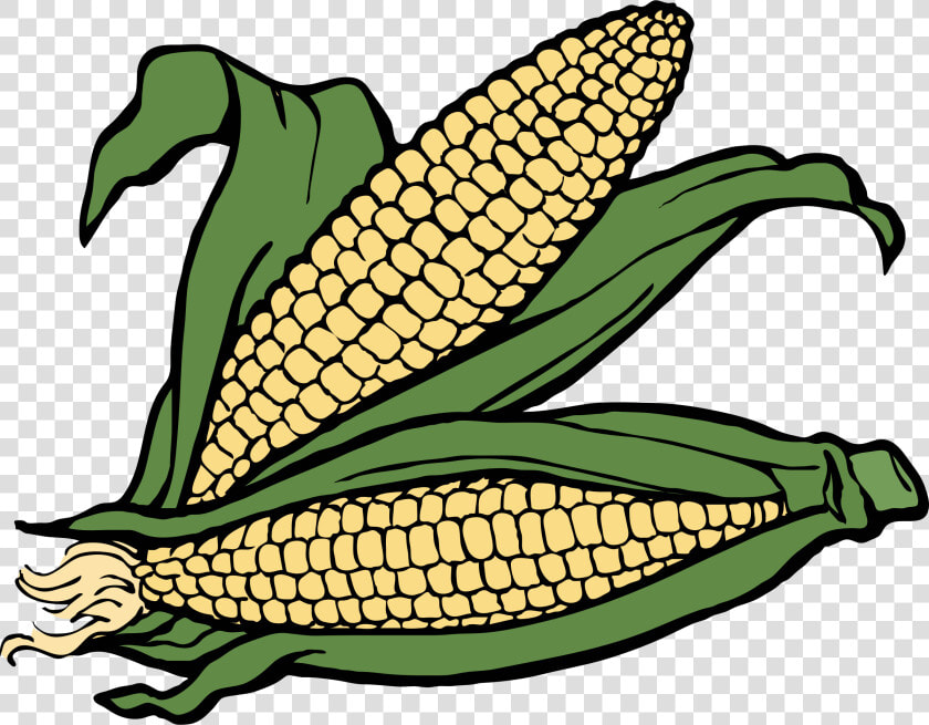 Corn Clip Arts   Corn Clipart  HD Png DownloadTransparent PNG