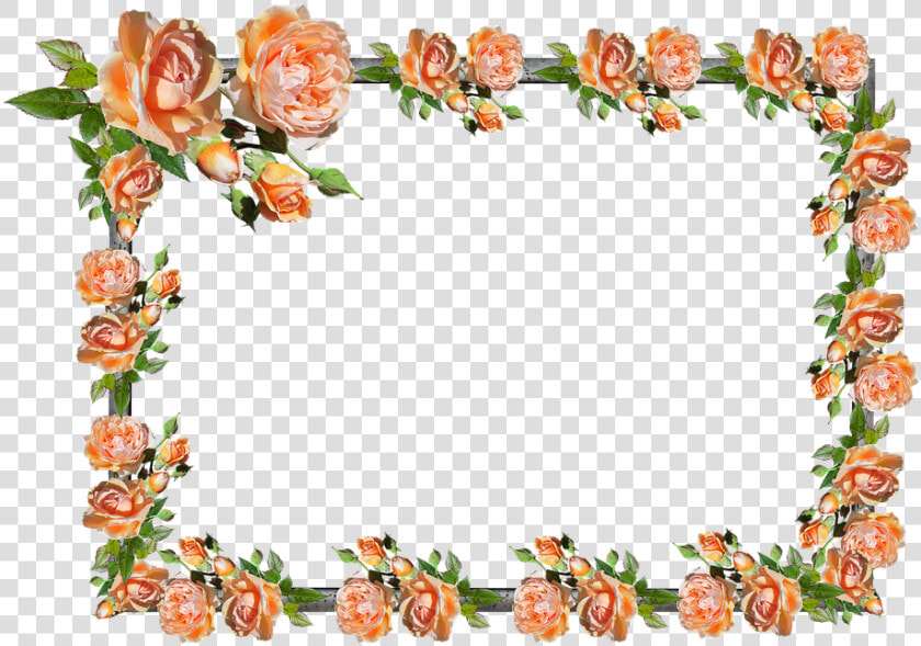 Frame  Border  Rose  Floral  Decoration   Floribunda  HD Png DownloadTransparent PNG