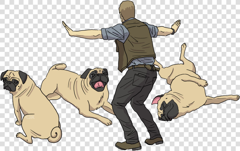 Did You Know That Chris Pratt Owns Several Pugs   Dog Yawns  HD Png DownloadTransparent PNG