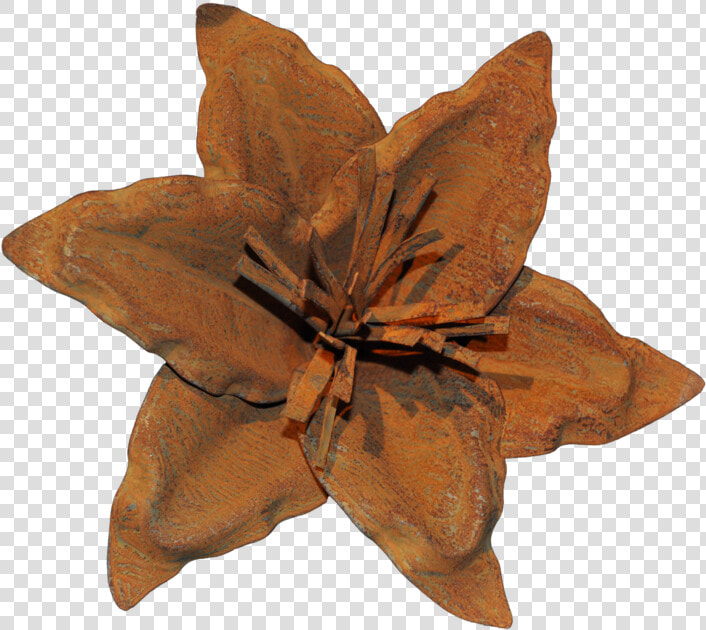 Clematis  HD Png DownloadTransparent PNG