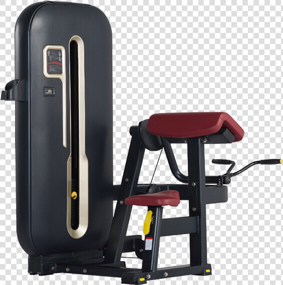 Bft 7006 Bicep Curl Exercise Equipment   Fitline Gym Equipments Png  Transparent PngTransparent PNG