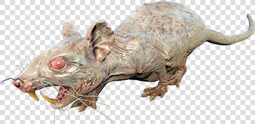 Rad rat   Fallout Rat  HD Png DownloadTransparent PNG