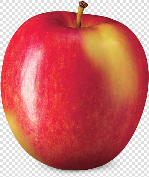 Ambrosia   Apple Clip Art Ambrosia  HD Png DownloadTransparent PNG