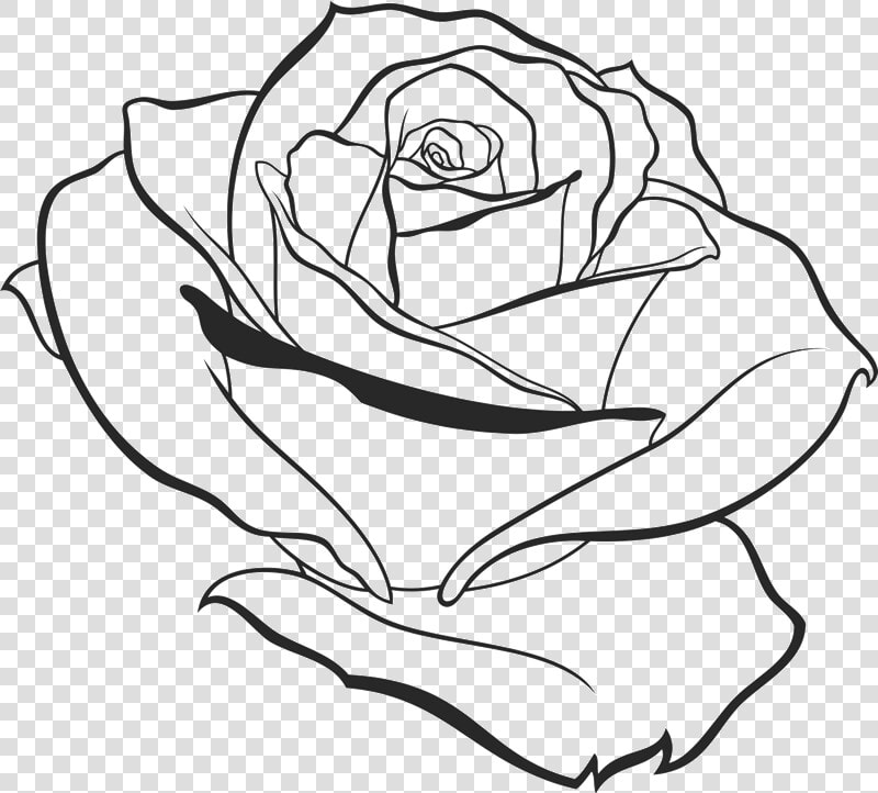 800 X 722   Transparent Simple Rose Outline  HD Png DownloadTransparent PNG