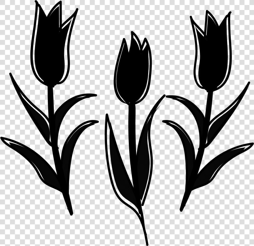 Plant Yellow Stem Tulip Tsubomi White Clipart   Sprenger  39 s Tulip  HD Png DownloadTransparent PNG