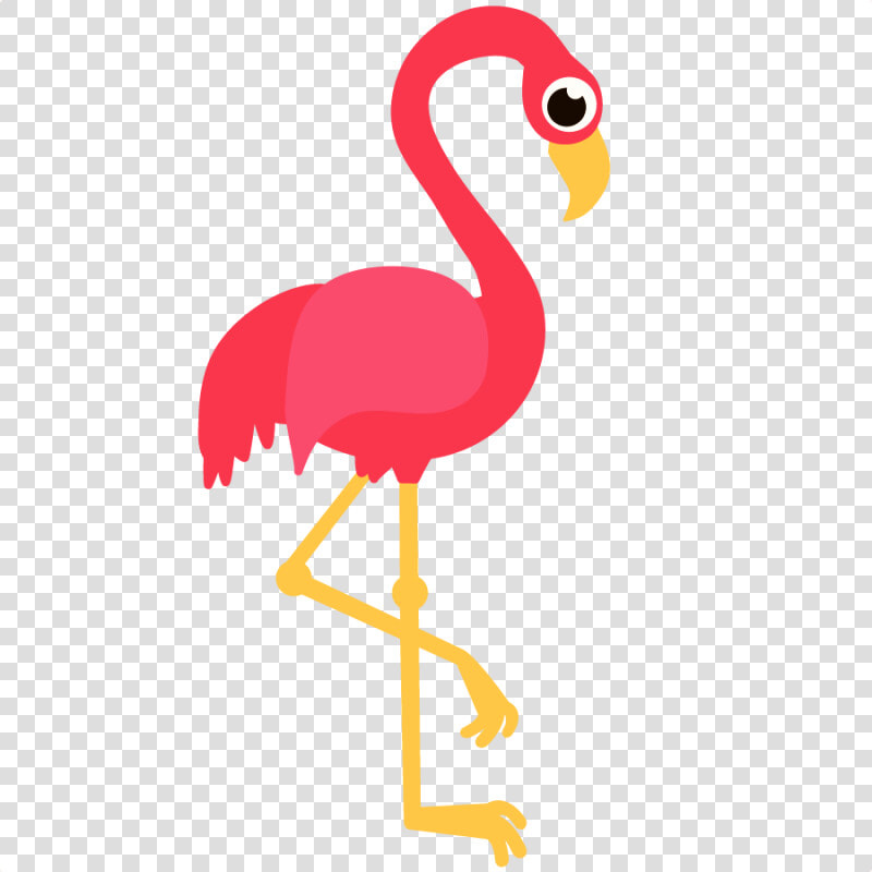 Download Flamingo Png Transparent Images Transparent   Transparent Background Flamingo Clipart  Png DownloadTransparent PNG