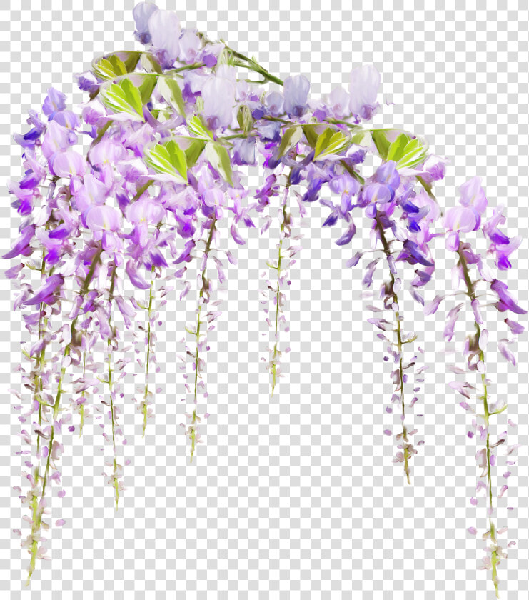  flowers freetoedit   Transparent Wisteria Flower Png  Png DownloadTransparent PNG