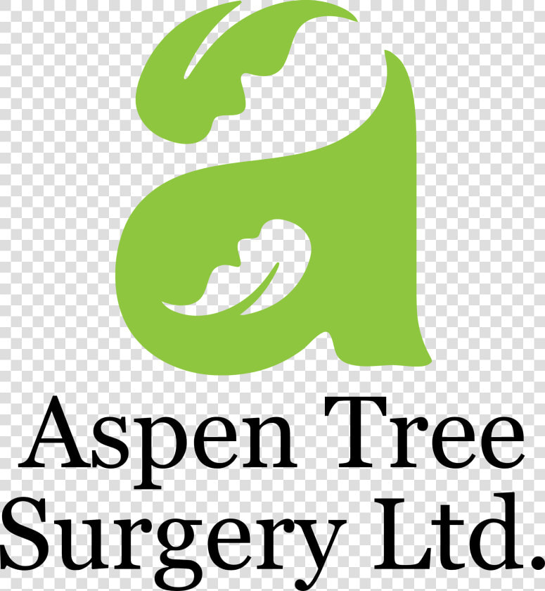 Aspen Tree Png  Transparent PngTransparent PNG