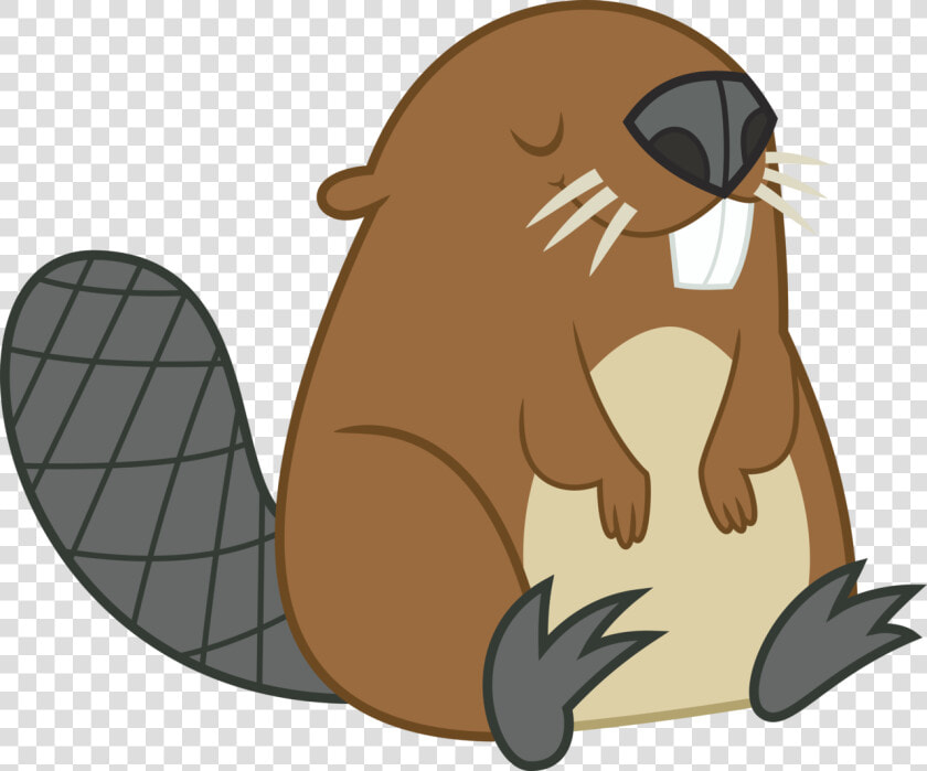 Beaver Clipart Transparent   Transparent Background Beaver Clipart  HD Png DownloadTransparent PNG