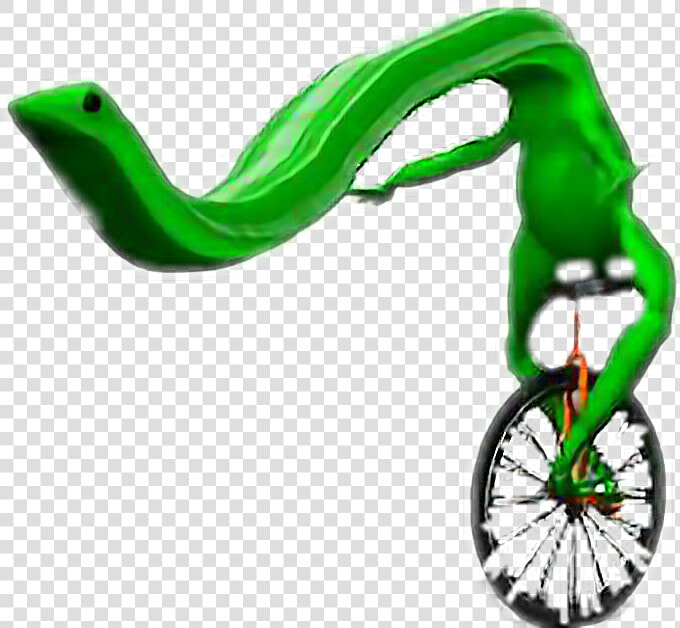 Datboi Meme Memes Dank Deadmeme Frog Unicycle Longfrog   Dat Boi  HD Png DownloadTransparent PNG