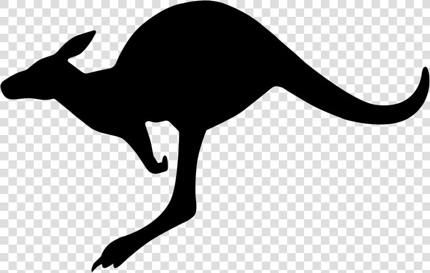 Australia Transparent Kangaroo   Australian Air Force Roundel  HD Png DownloadTransparent PNG