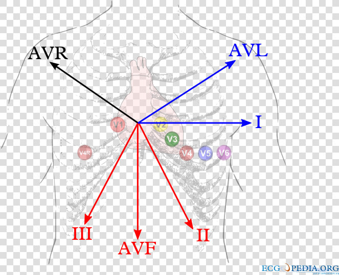 Ekg D1 D2 D3  HD Png DownloadTransparent PNG