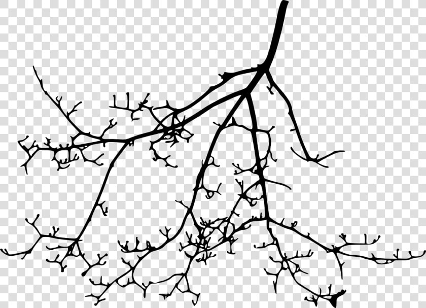 Tree Branch Silhouette Transparent Vol Png Sleek Silhouette   Line Art  Png DownloadTransparent PNG