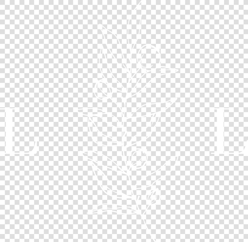 Logo 3   White   Jhu Logo White  HD Png DownloadTransparent PNG