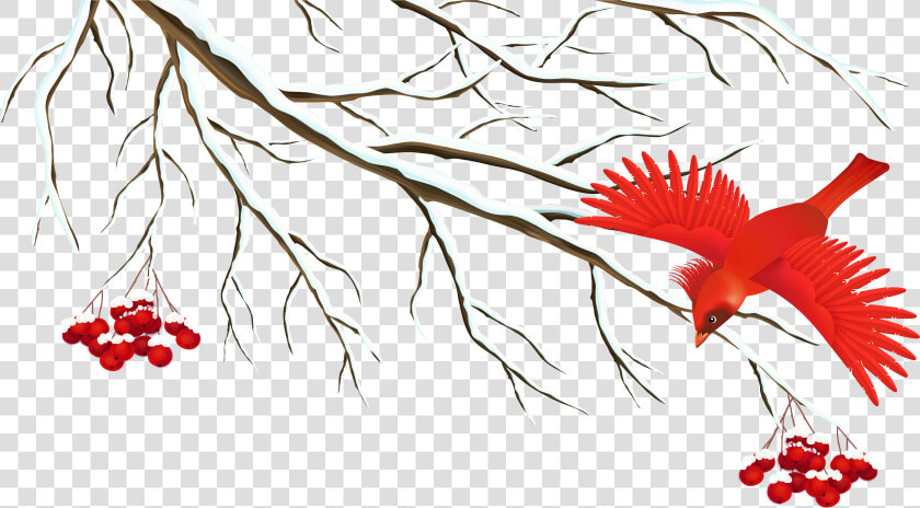 Branch Snow Clip Art   Winter Birds Clip Art  HD Png DownloadTransparent PNG