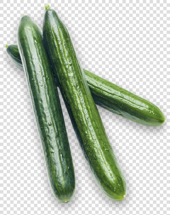 Long English Cucumbers   Pickled Cucumber  HD Png DownloadTransparent PNG