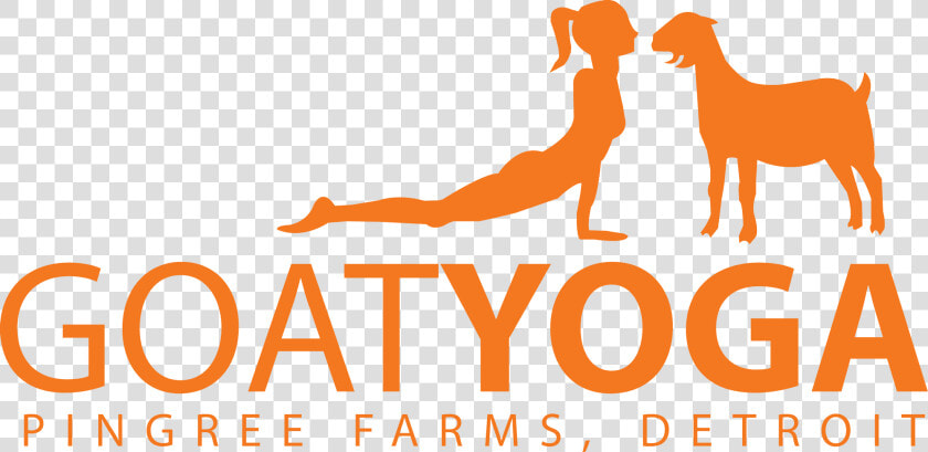 Goat Yoga At Pingree Farms In Detroit  Mi   Goat Yoga Pingree Farms  HD Png DownloadTransparent PNG