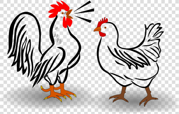 Rooster And Painting Books   Arabic Word Of Cock  HD Png DownloadTransparent PNG