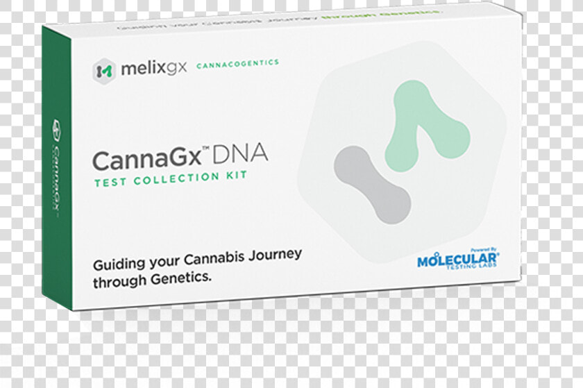 Cannabis Dna Test   Pinnacle Studio  HD Png DownloadTransparent PNG