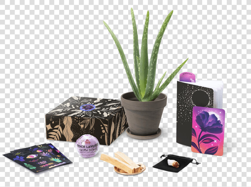 Lunarly Subscription Box  HD Png DownloadTransparent PNG