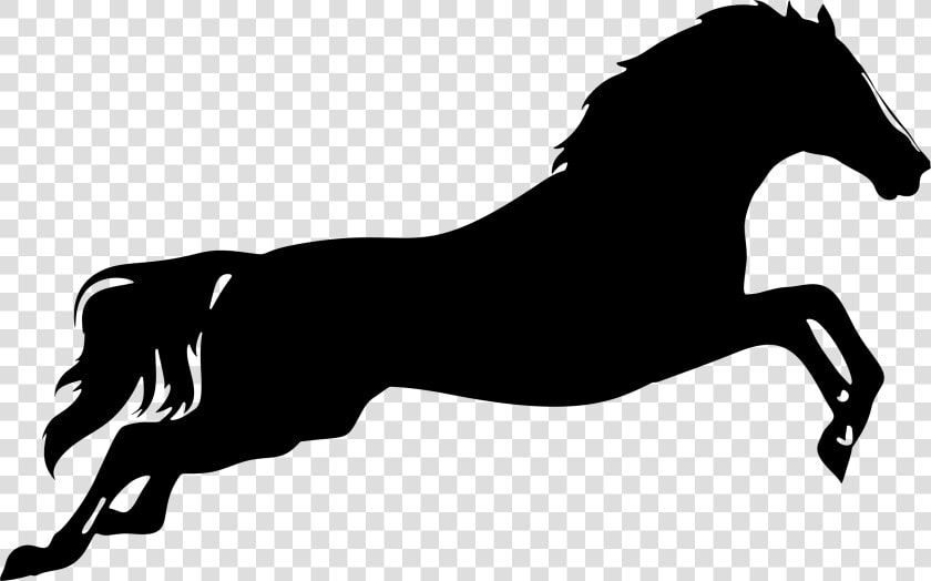 Silhouette At Getdrawings Com   Horse Silhouette Clip Art Png  Transparent PngTransparent PNG