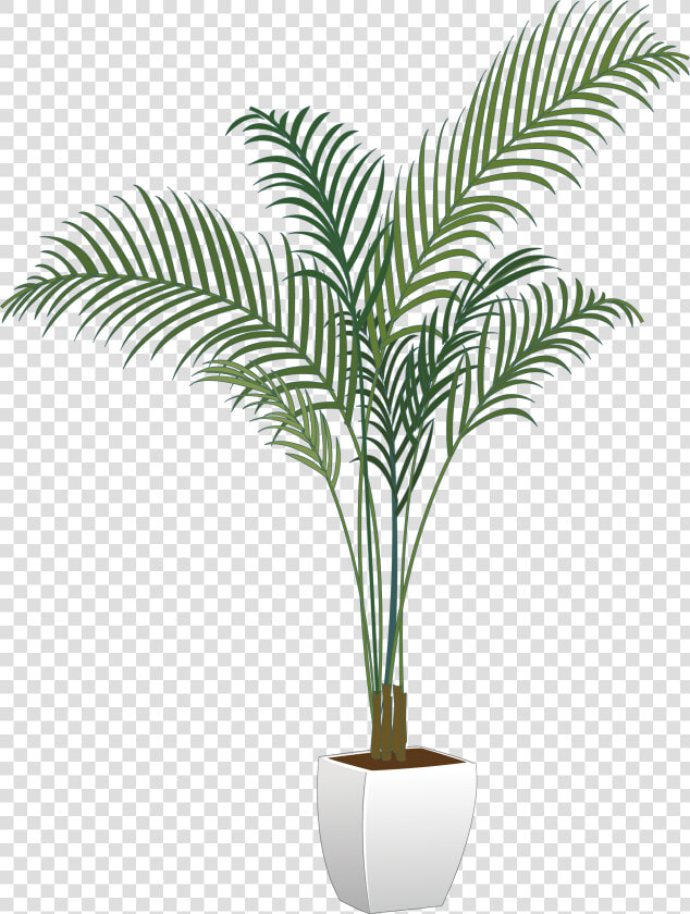 Arecaceae Flowerpot Houseplant   Potted Plant Png Transparent  Png DownloadTransparent PNG