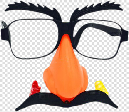 Clown Glasses Png   Transparent Funny Glasses  Png DownloadTransparent PNG