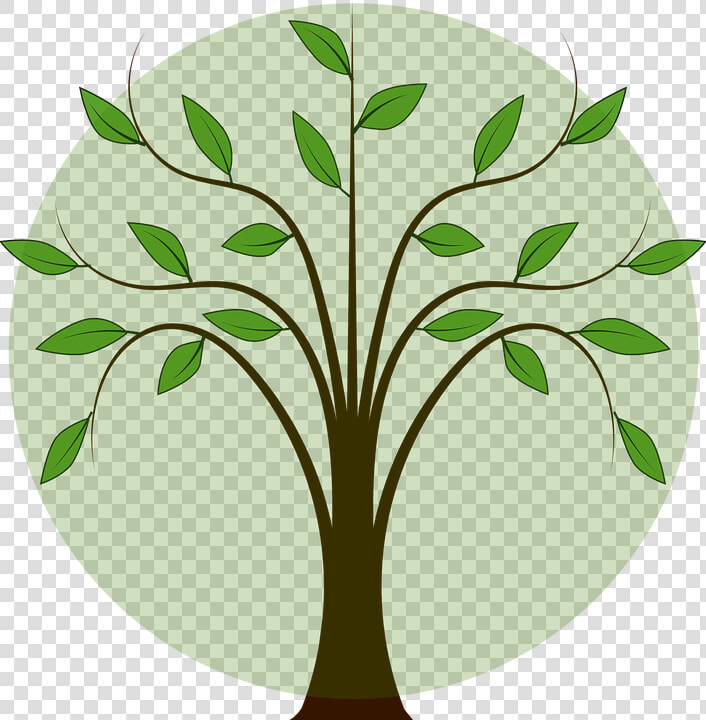 Folhas De Arvore Png   Tree With Leaves Clipart  Transparent PngTransparent PNG