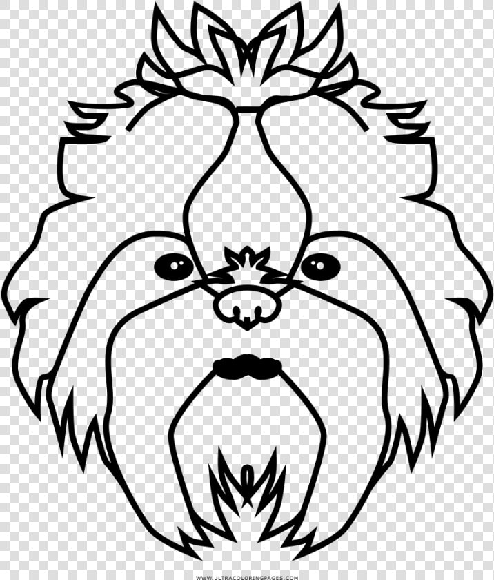 Shih Tzu Coloring Page   Line Art  HD Png DownloadTransparent PNG