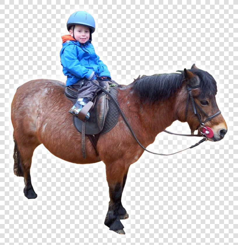 Learning With Horses   Boy Riding Horse Png  Transparent PngTransparent PNG