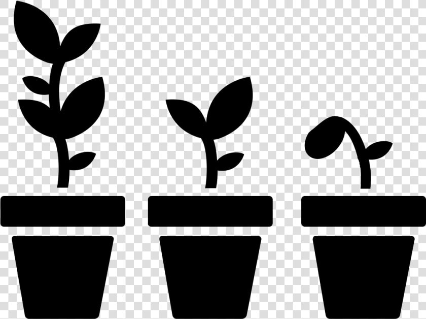 Plant Growing Icon Png  Transparent PngTransparent PNG