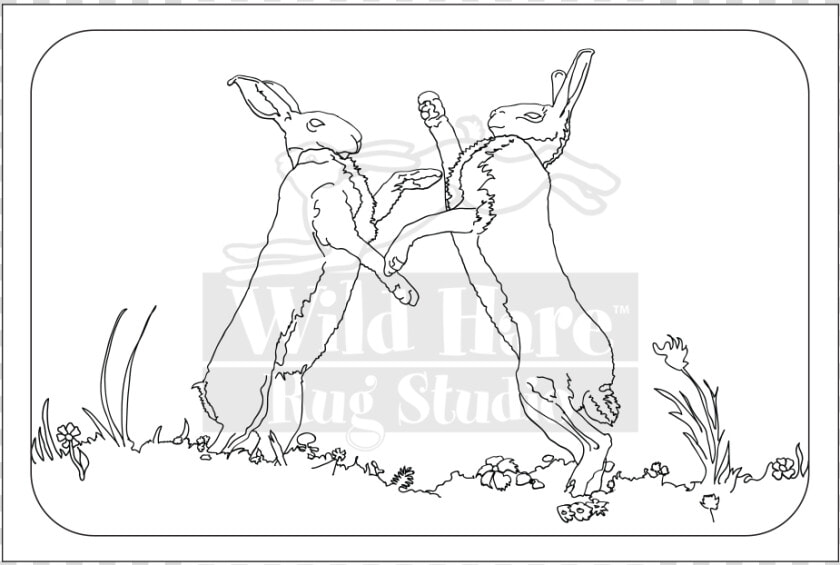 Hares Drawing Wild Hare   Line Art  HD Png DownloadTransparent PNG