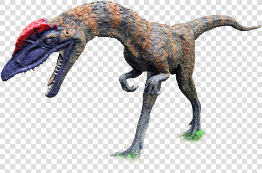 Download Dinosaur Png Clipart 149  Transparent PngTransparent PNG