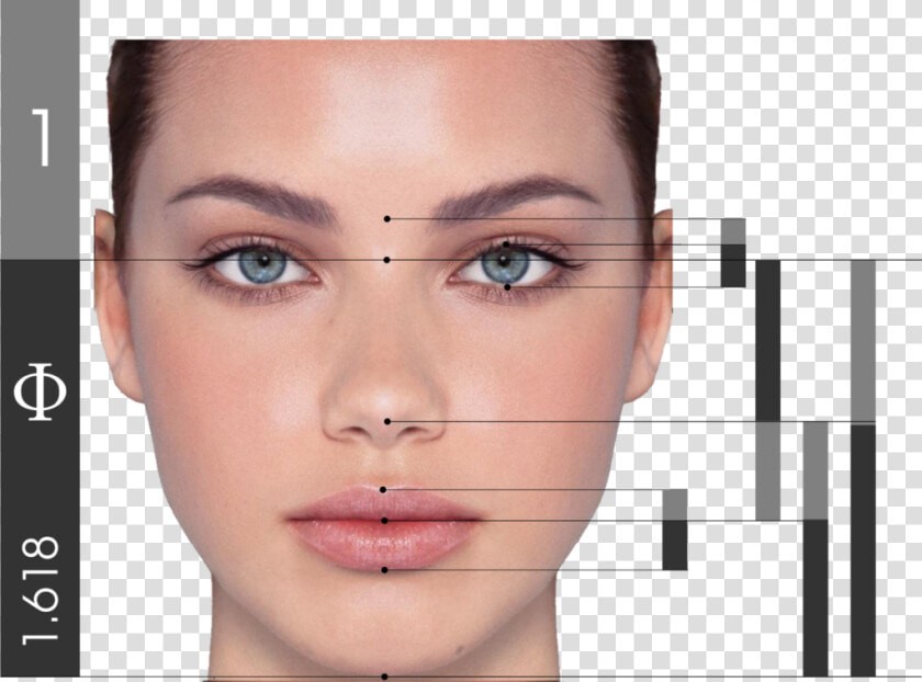 Perfect Eyebrow Shape  HD Png DownloadTransparent PNG