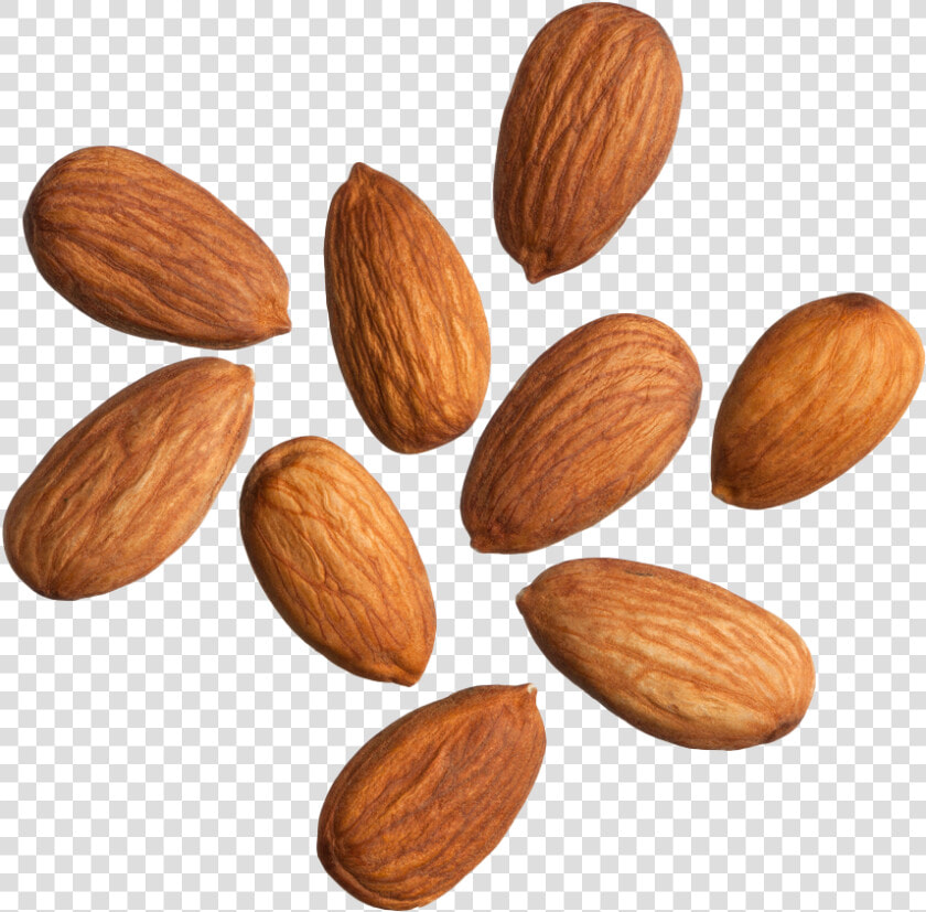 Almonds White Background  HD Png DownloadTransparent PNG