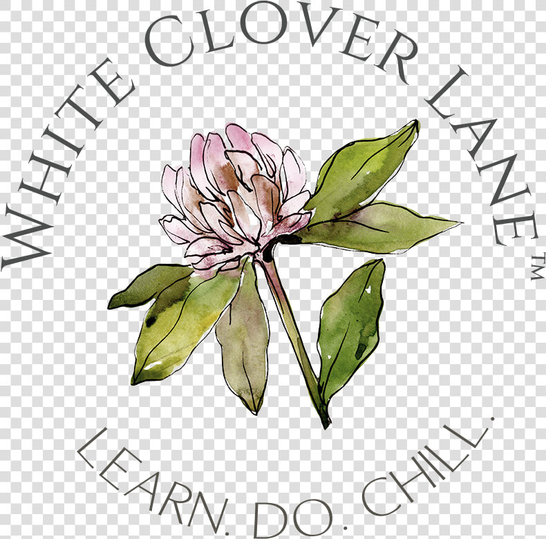 Rosa Glauca  HD Png DownloadTransparent PNG