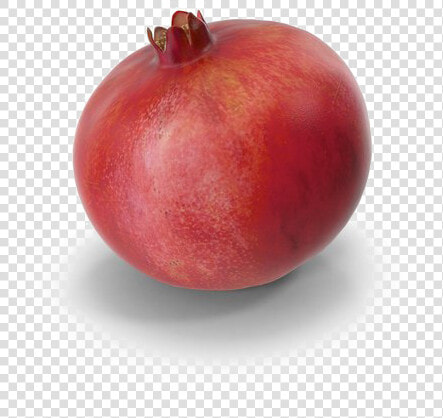 Pomegranate Free Png Image   Pomegranate  Transparent PngTransparent PNG