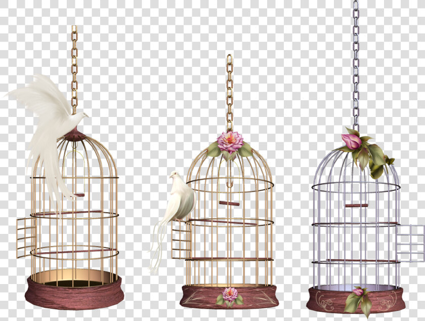 White Bird Cage   Birdcage Png  Transparent PngTransparent PNG