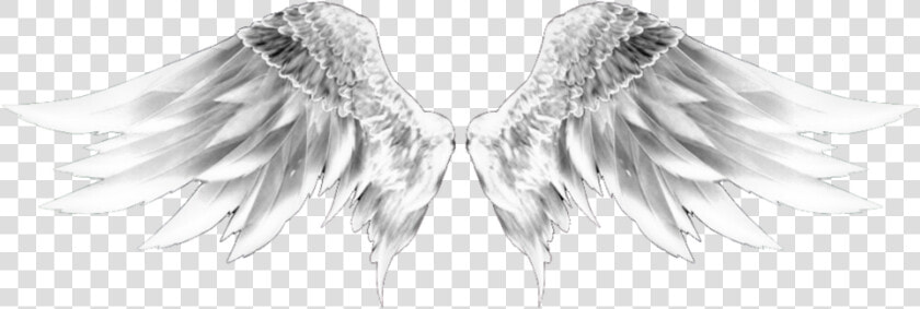  wingsofanangel  wings  wings  whitewings  dubrootsgirlremix   Sketch  HD Png DownloadTransparent PNG