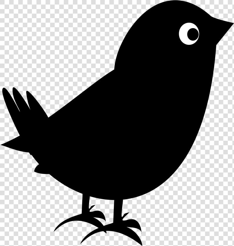 Plane Clipart Blackbird   Black Bird  HD Png DownloadTransparent PNG