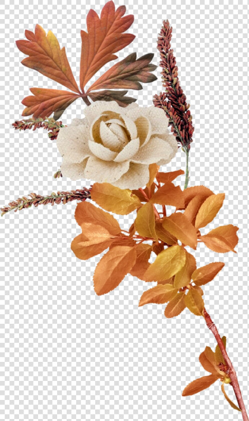 Transparent Autumn Flower Png   Transparent Autumn Flowers Clip Art  Png DownloadTransparent PNG