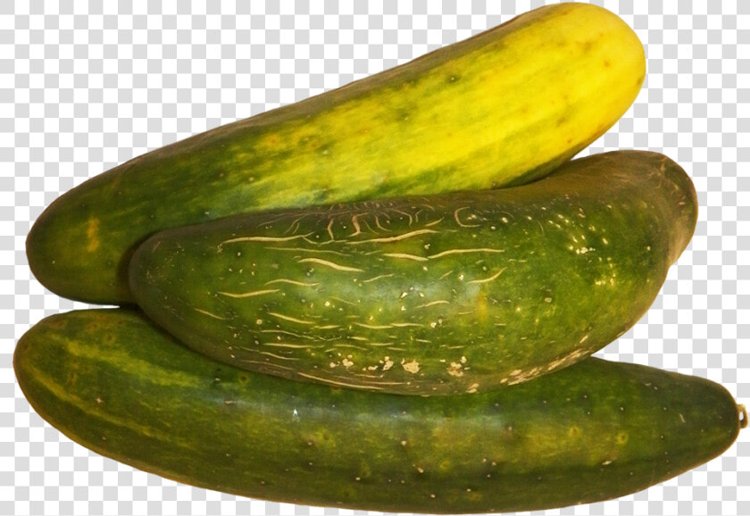 Three Cucumbers Clipart   Spreewald Gherkins  HD Png DownloadTransparent PNG