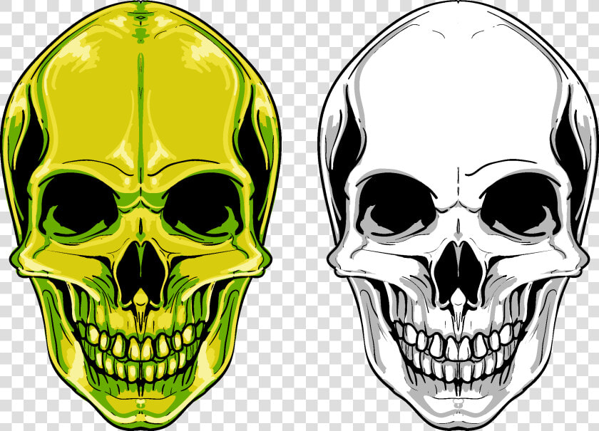 Euclidean Vector Skull Png Free Photo Clipart   Skull Png Free  Transparent PngTransparent PNG