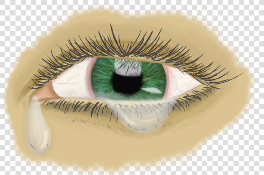 Picture   Eyelash Extensions  HD Png DownloadTransparent PNG