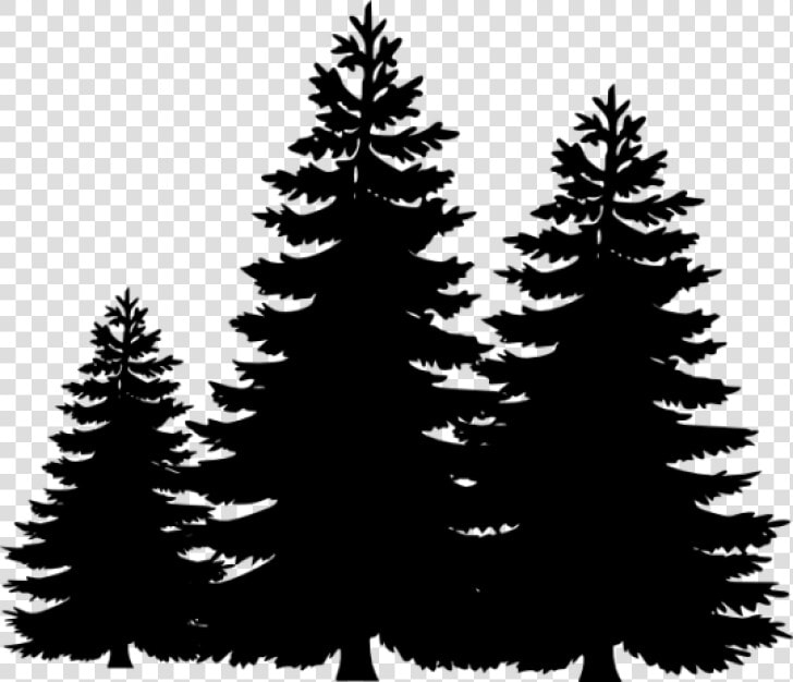 Permalink To Pine Tree Clip Art Winter Clipart   Transparent Pine Tree Silhouette  HD Png DownloadTransparent PNG