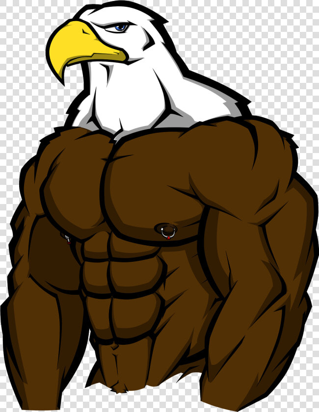 Eagles Clipart Muscle   Muscle Eagle  HD Png DownloadTransparent PNG